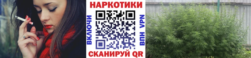 Наркошоп купить Псилоцибиновые грибы  Кокаин  Alpha-PVP  Меф мяу мяу  Марихуана  Курильск