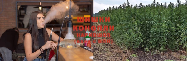 ГАЛЛЮЦИНОГЕННЫЕ ГРИБЫ Куйбышев