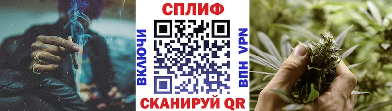 Шишки марихуана THC 21% Купить где Курильск